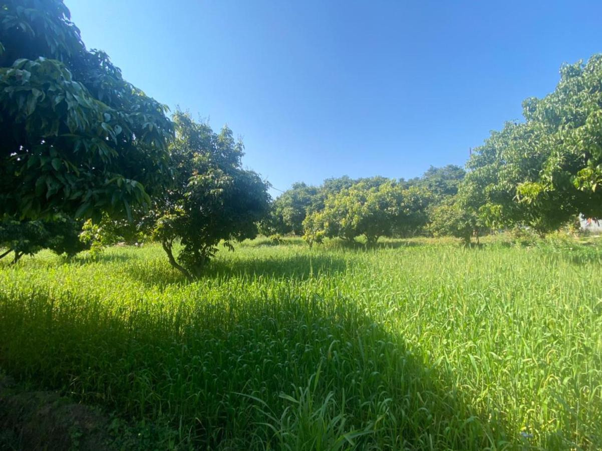 מלון Tanakpur Lushy Days Boom Camp מראה חיצוני תמונה
